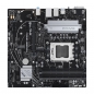 Asus Prime A620M-A-CSM