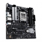 Asus Prime A620M-A-CSM